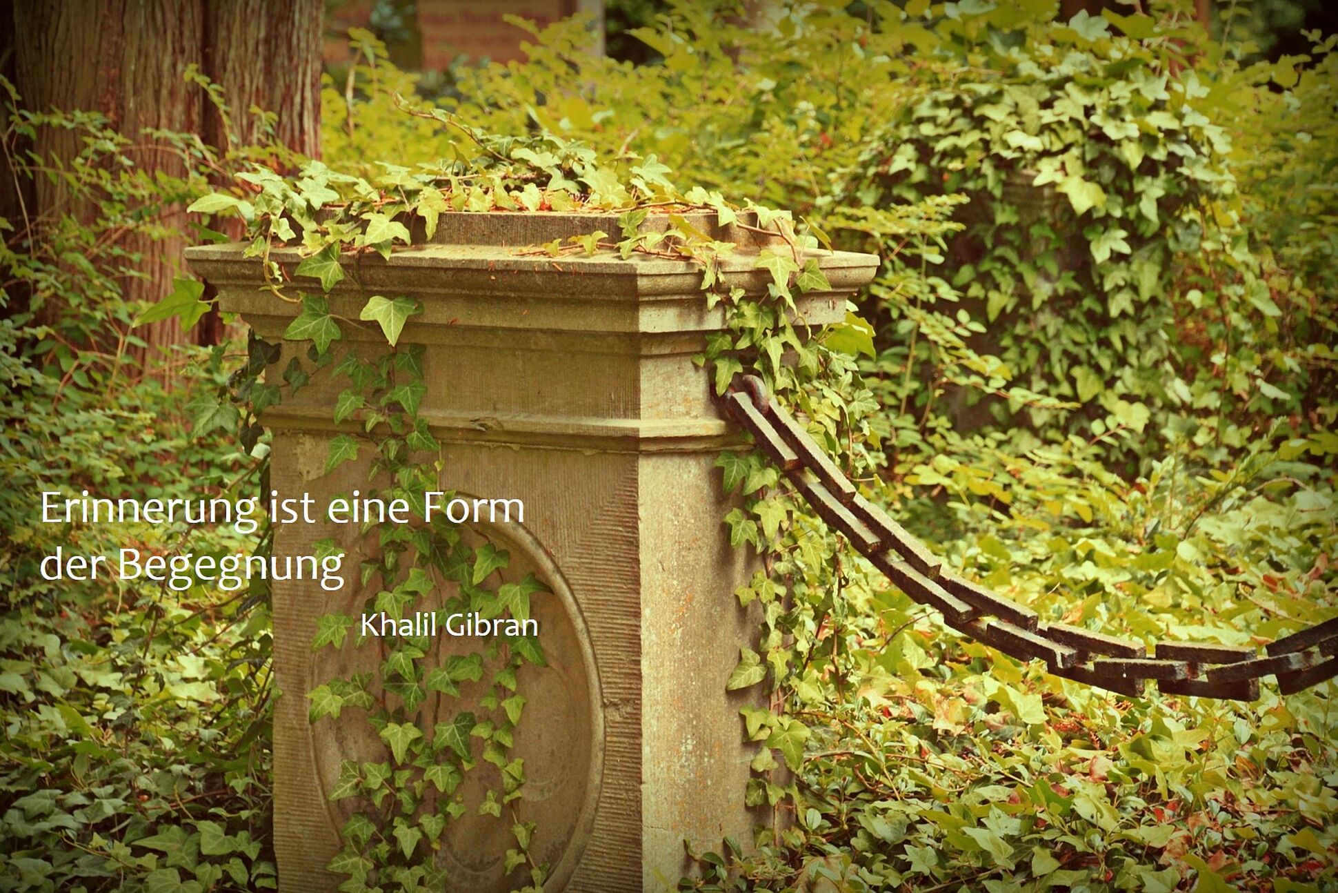 Ein mit Efeu bewachsener Grabstein umgeben von Hecken und Bäumen. Im Vordergrund der weiße Schriftzug "Erinnerung ist eine Form von Begegnung" verfasst von Khalil Gibran